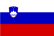 Slovenia flag